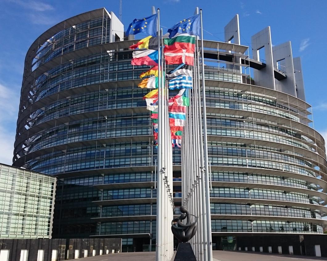Het Europees Parlement met vlaggen van de lidstaten aan de straatkant